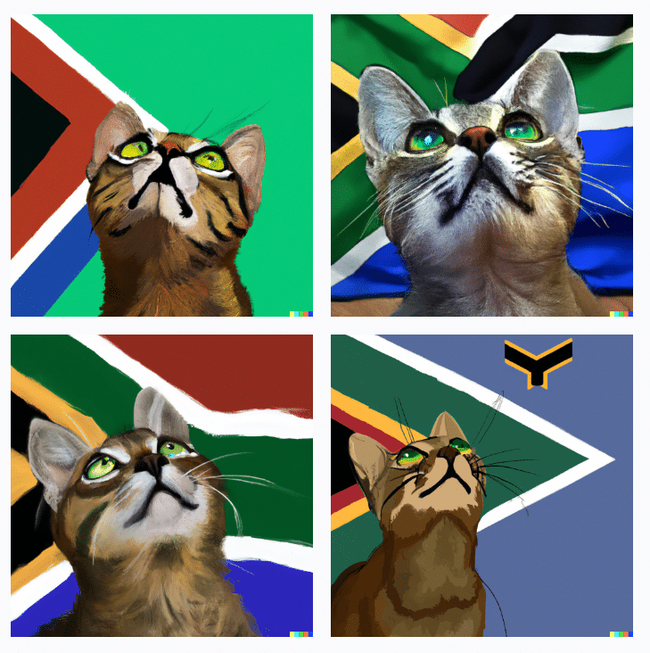 A Cat looking up at a South African flag, digital art dalle2